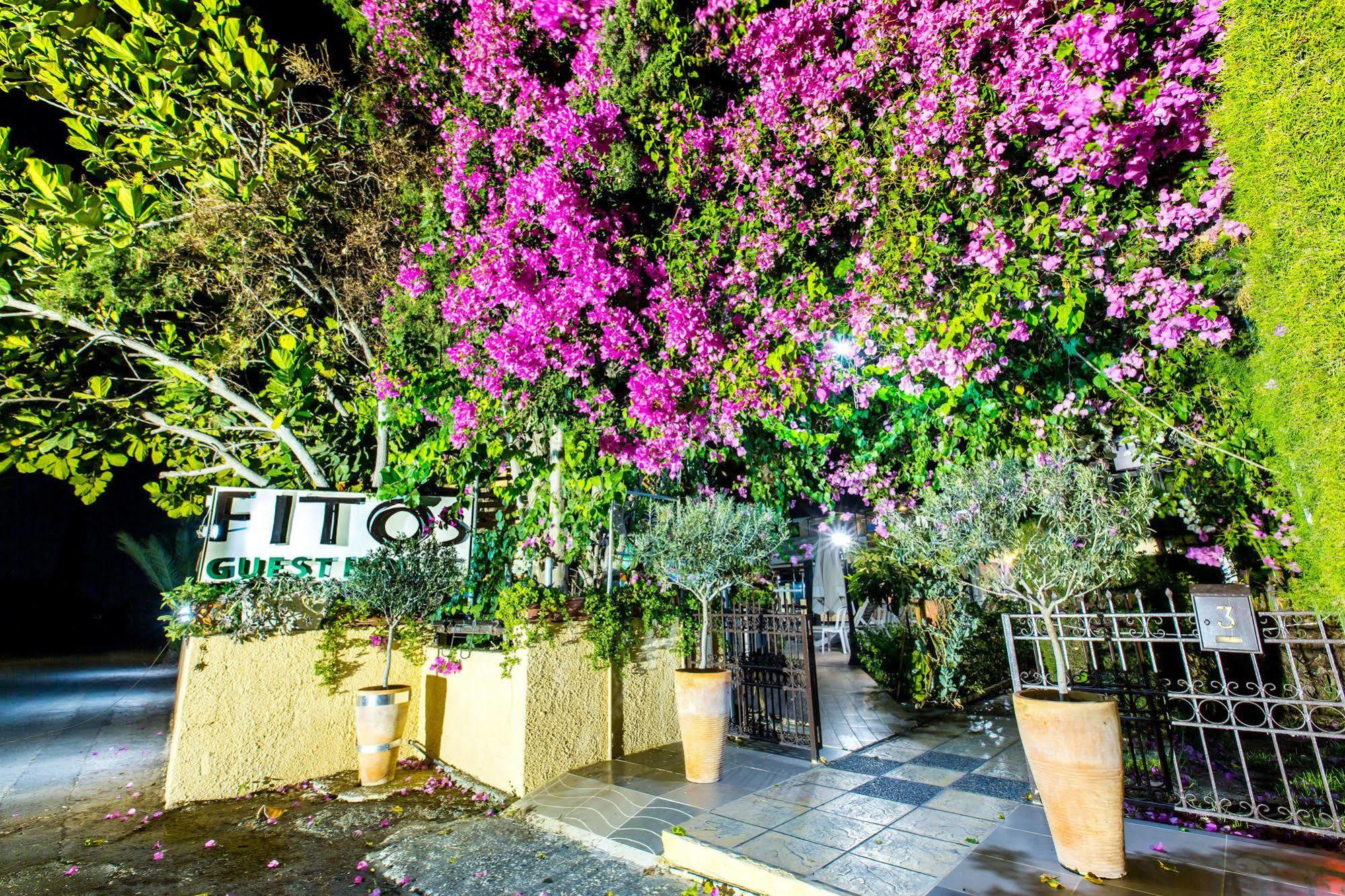 Fitosinn Hotel Geroskipou 외부 사진